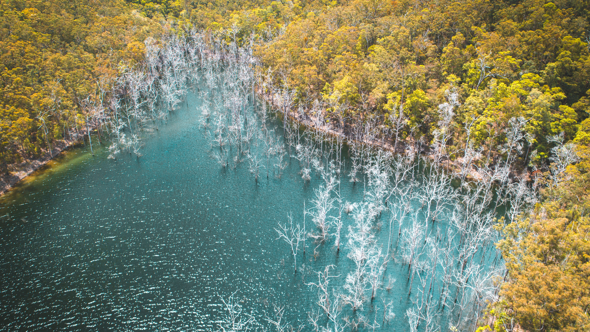 Scenic view of Advancetown, Australia