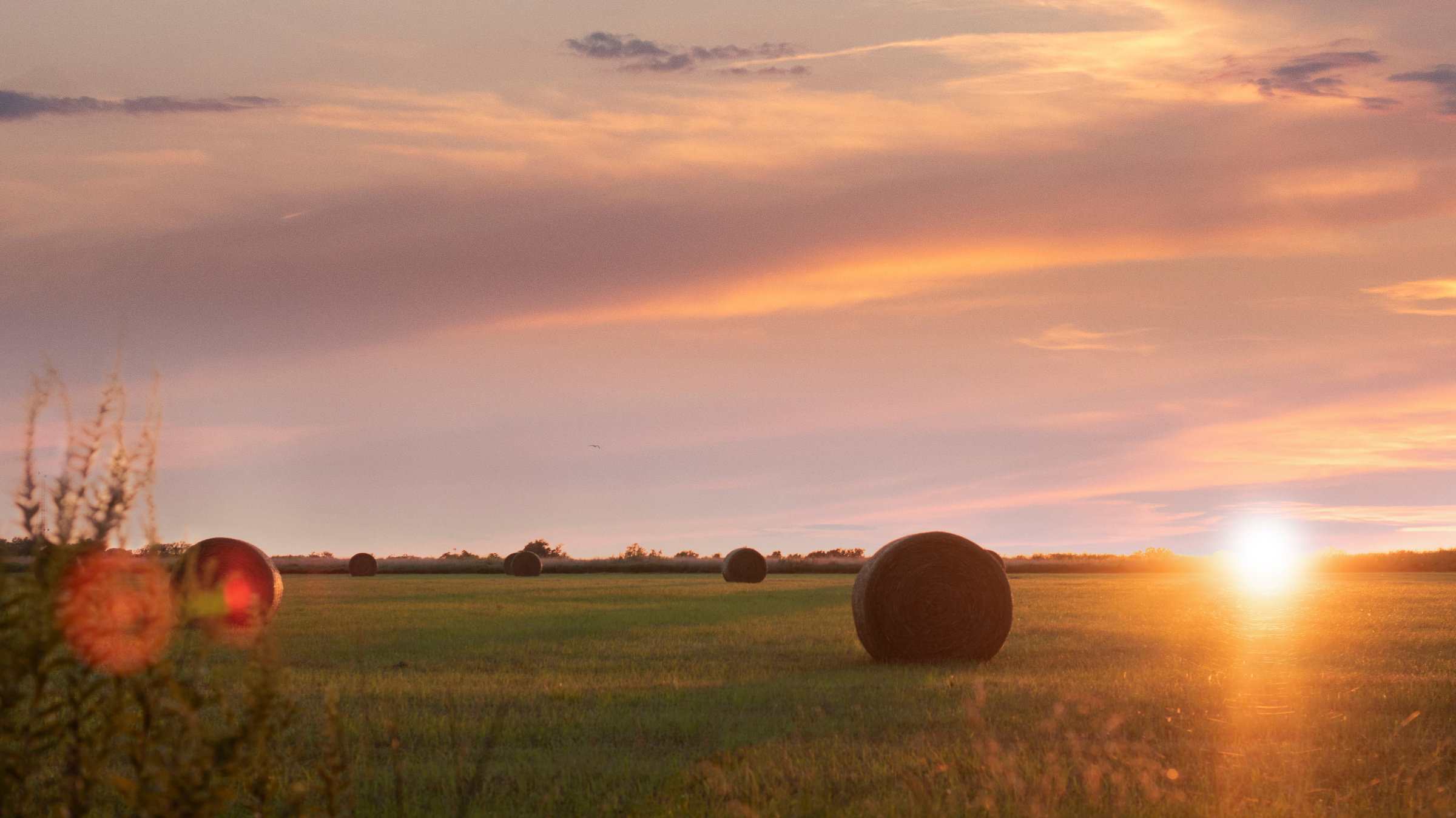 Scenic view of Afton, OK