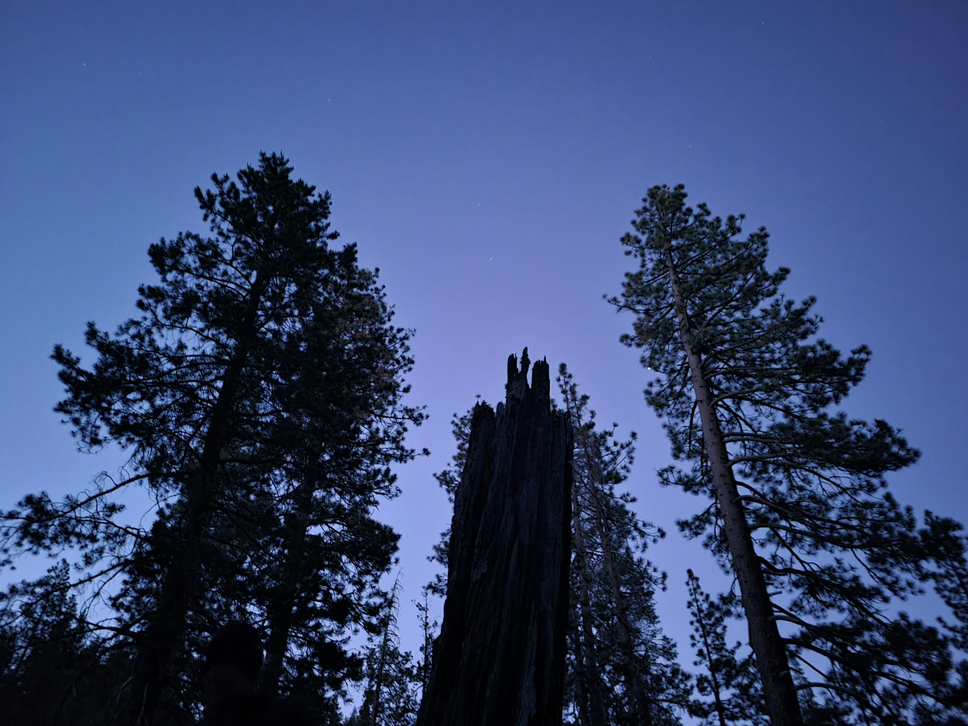 Scenic view of Arnold, CA