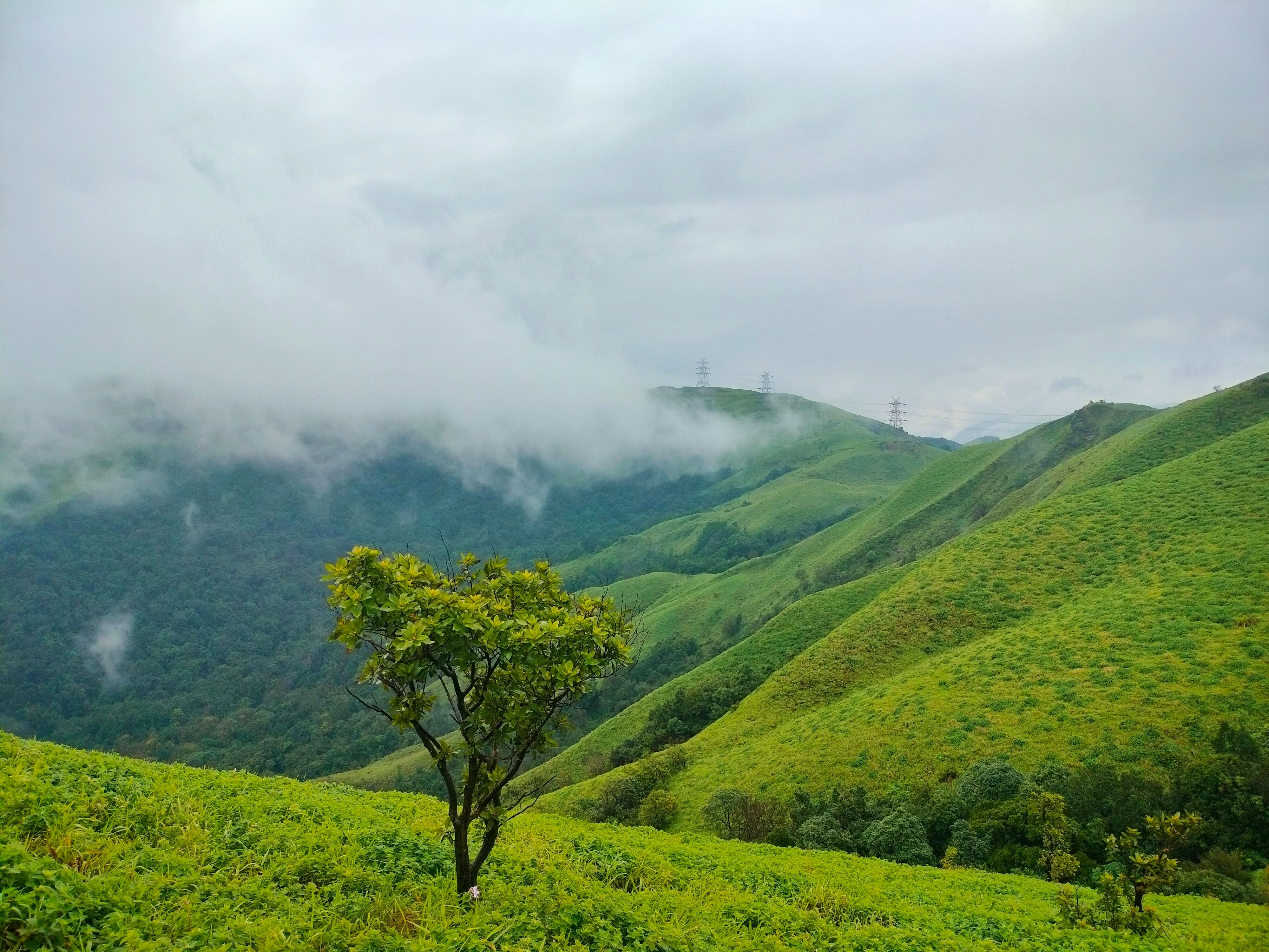 Scenic view of Chikkamagaluru, India
