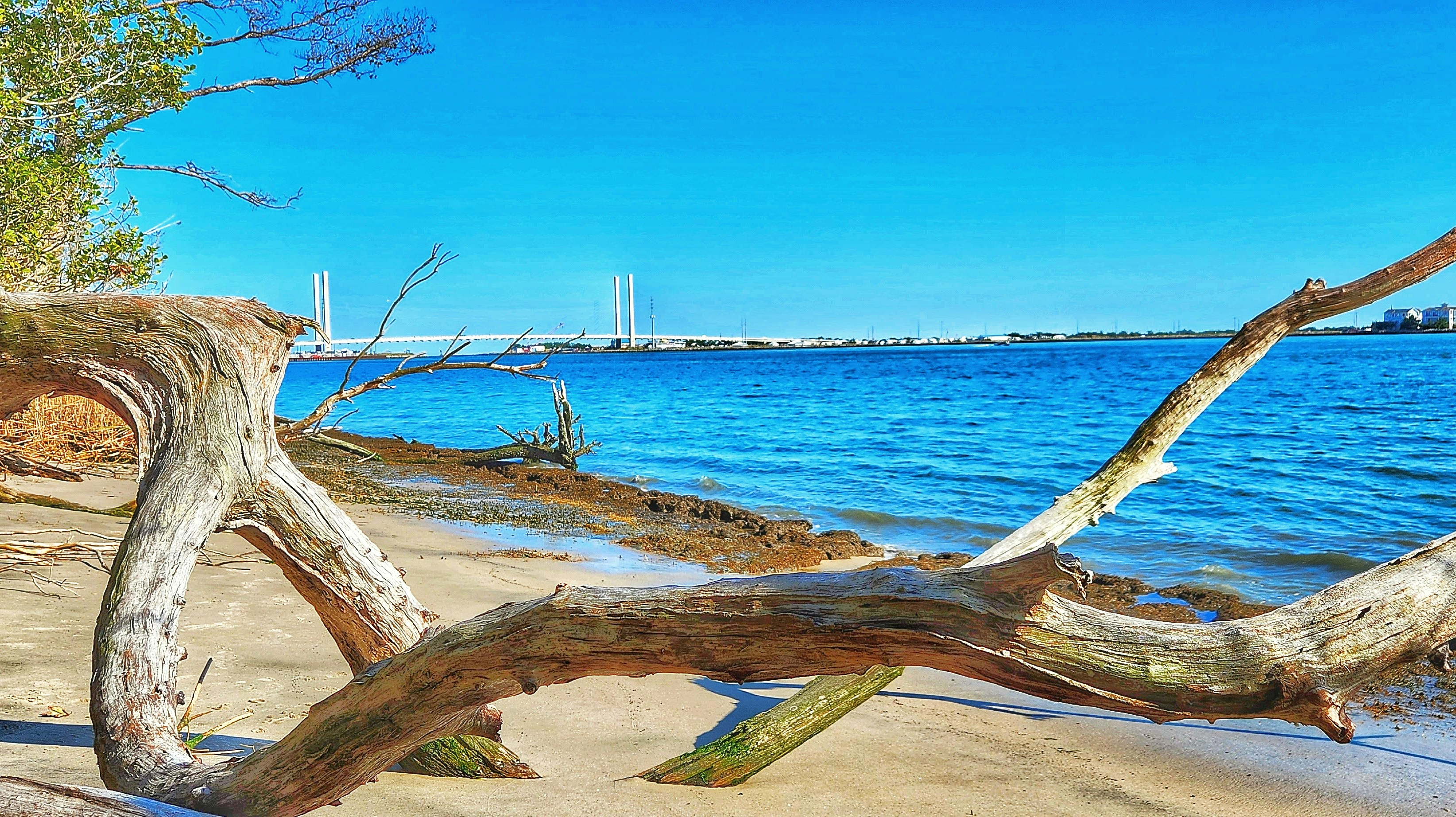 Scenic view of Dewey Beach, DE