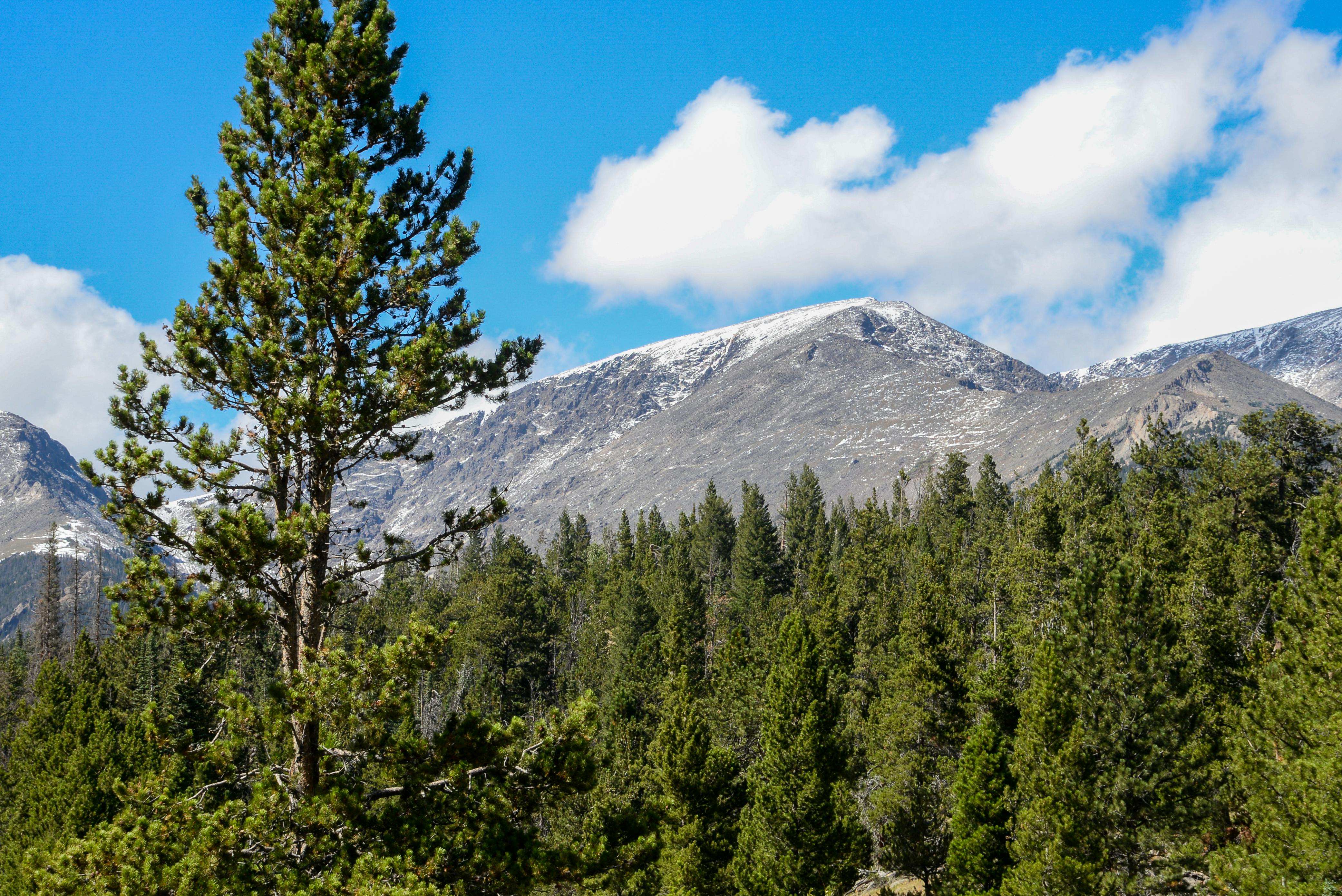 Scenic view of Estes Park, CO