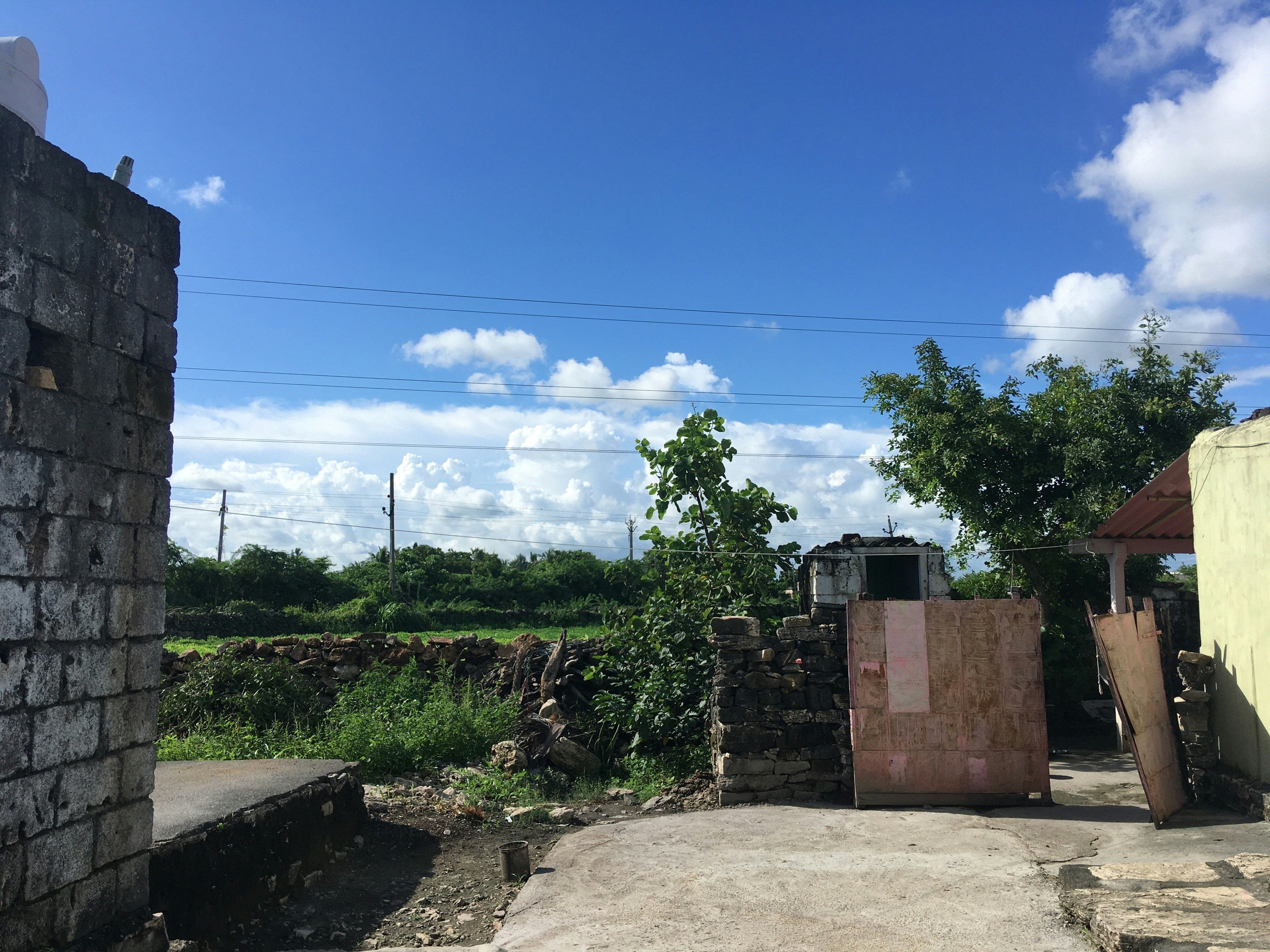 Scenic view of Gir, India