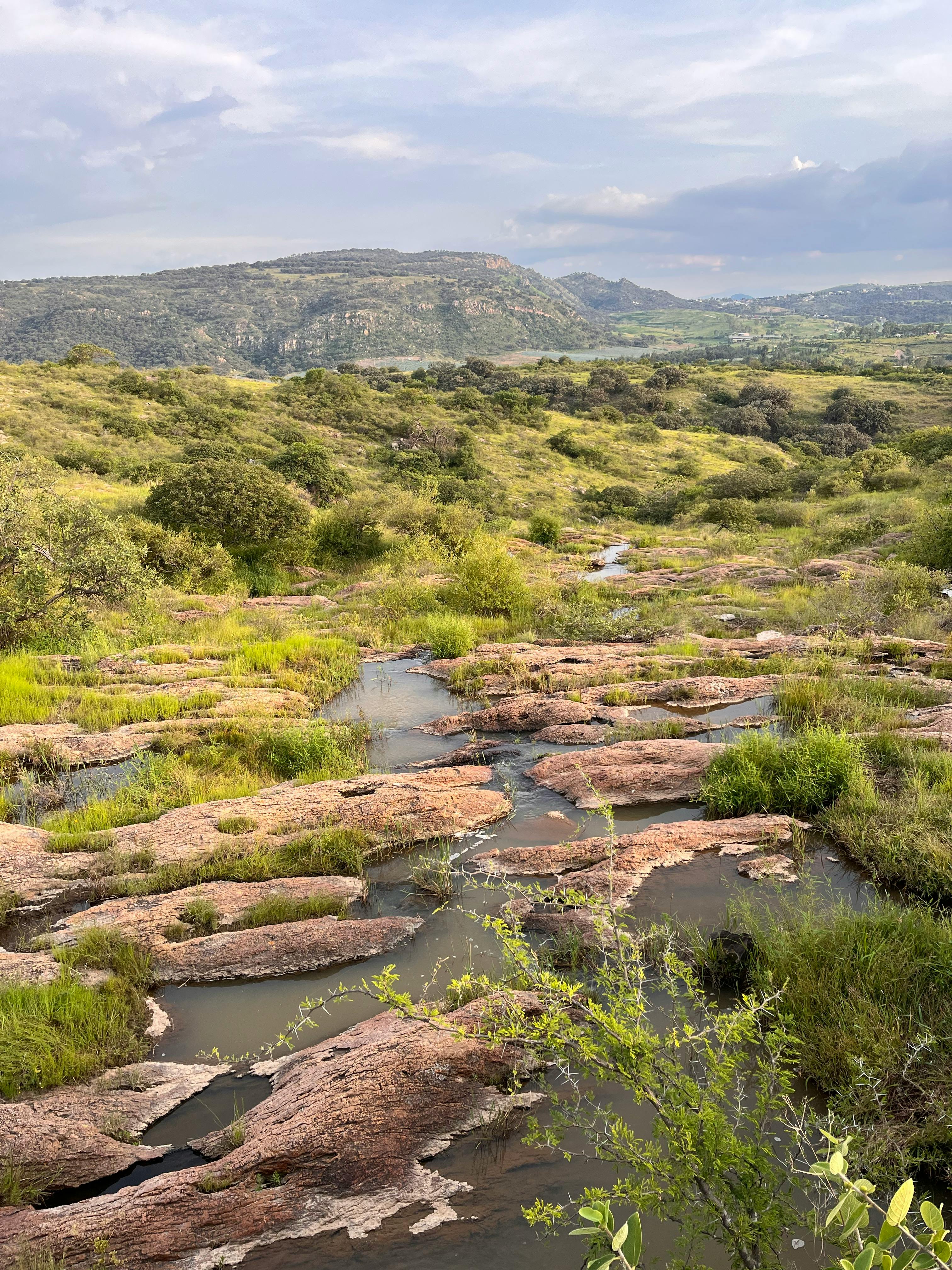 Scenic view of Kanatal, India
