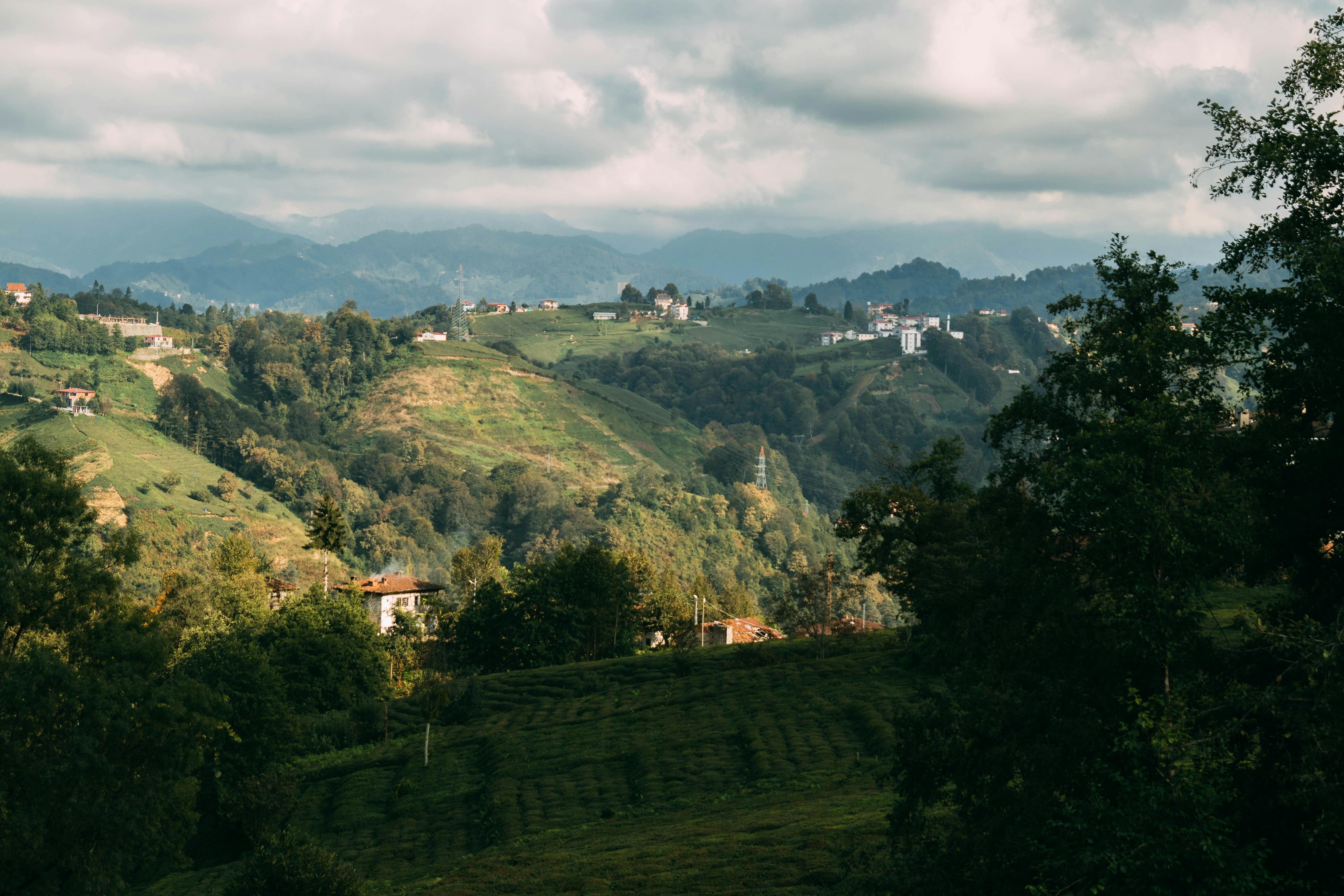 Scenic view of Nashik Dist, India