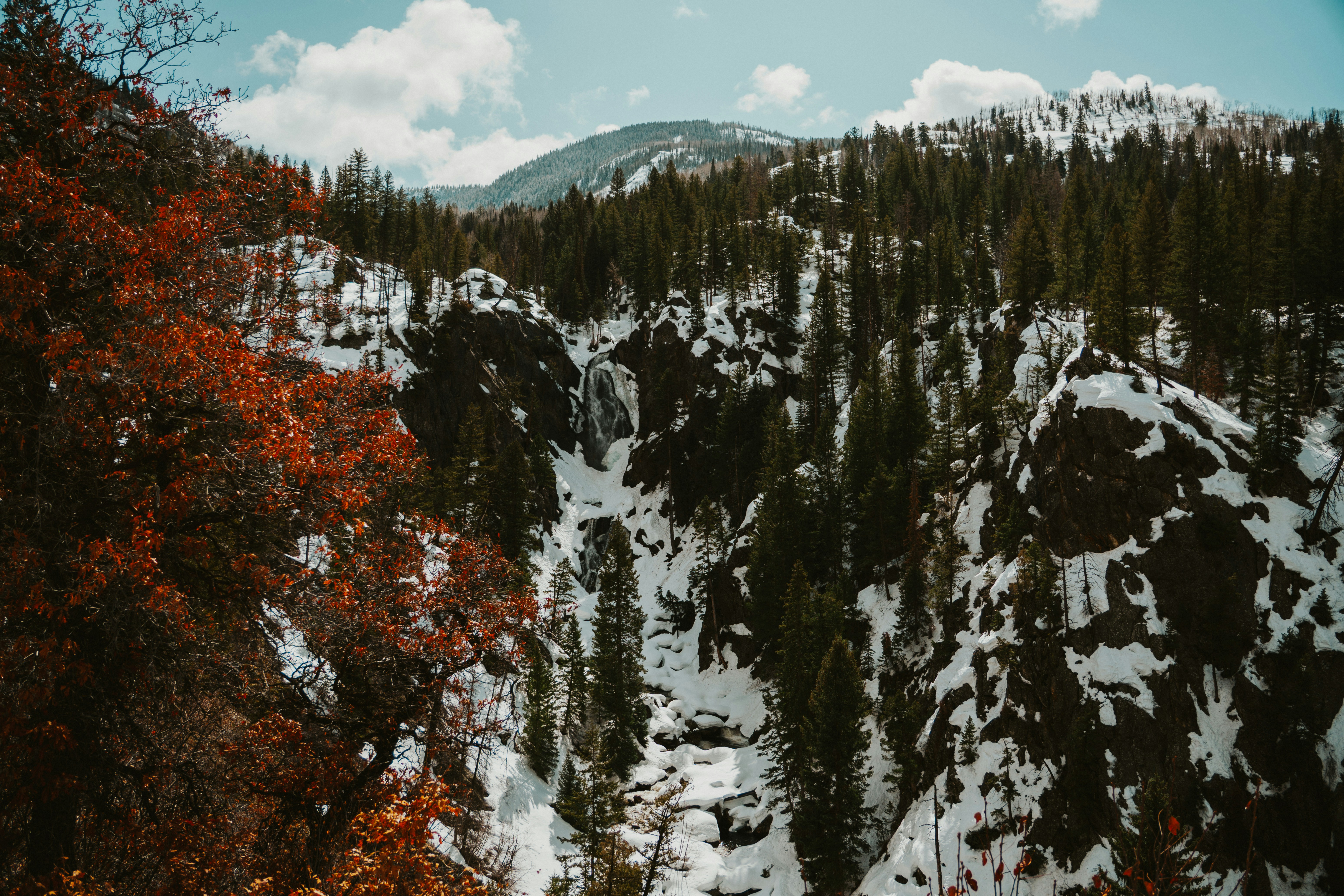 Scenic view of Steamboat Springs, CO