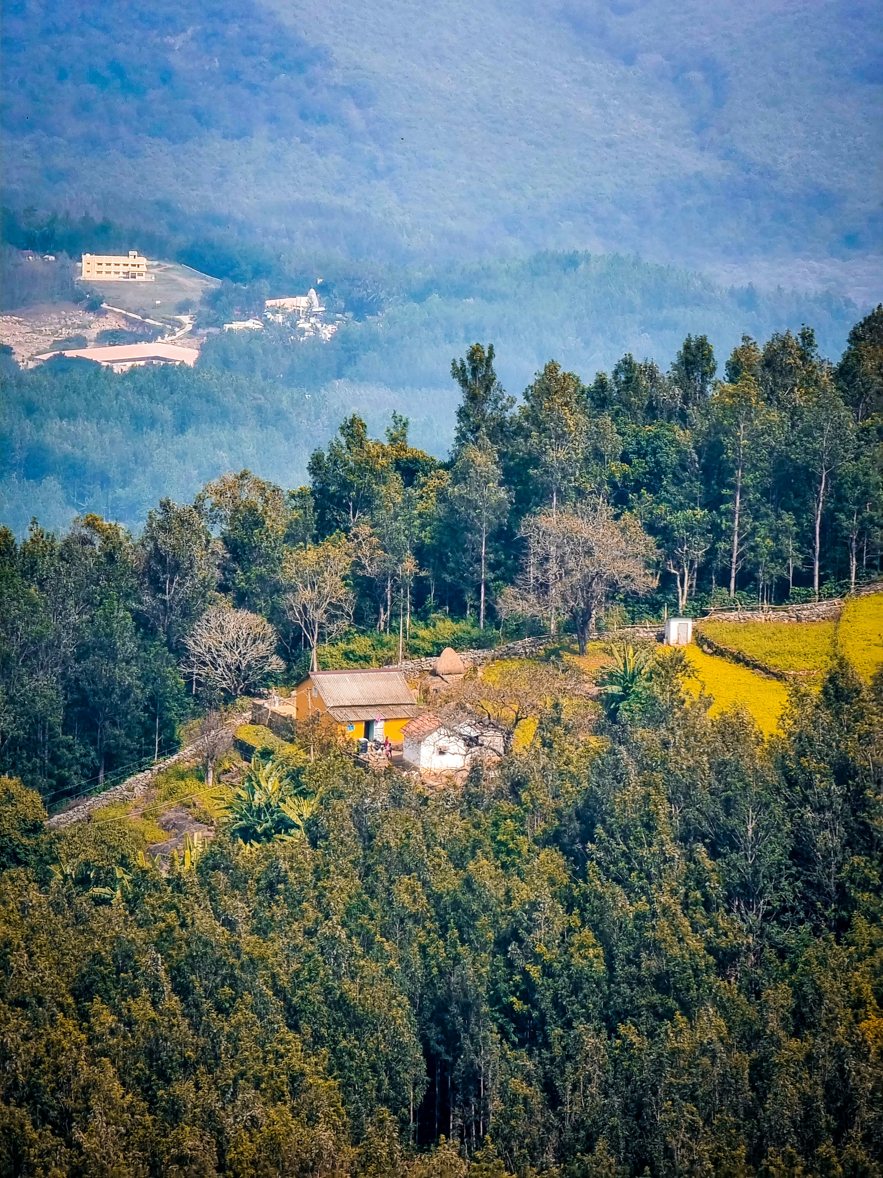 Scenic view of Yercaud, India
